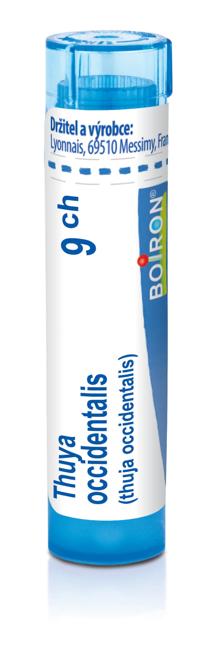 4531_THUYA OCCIDENTALIS 9